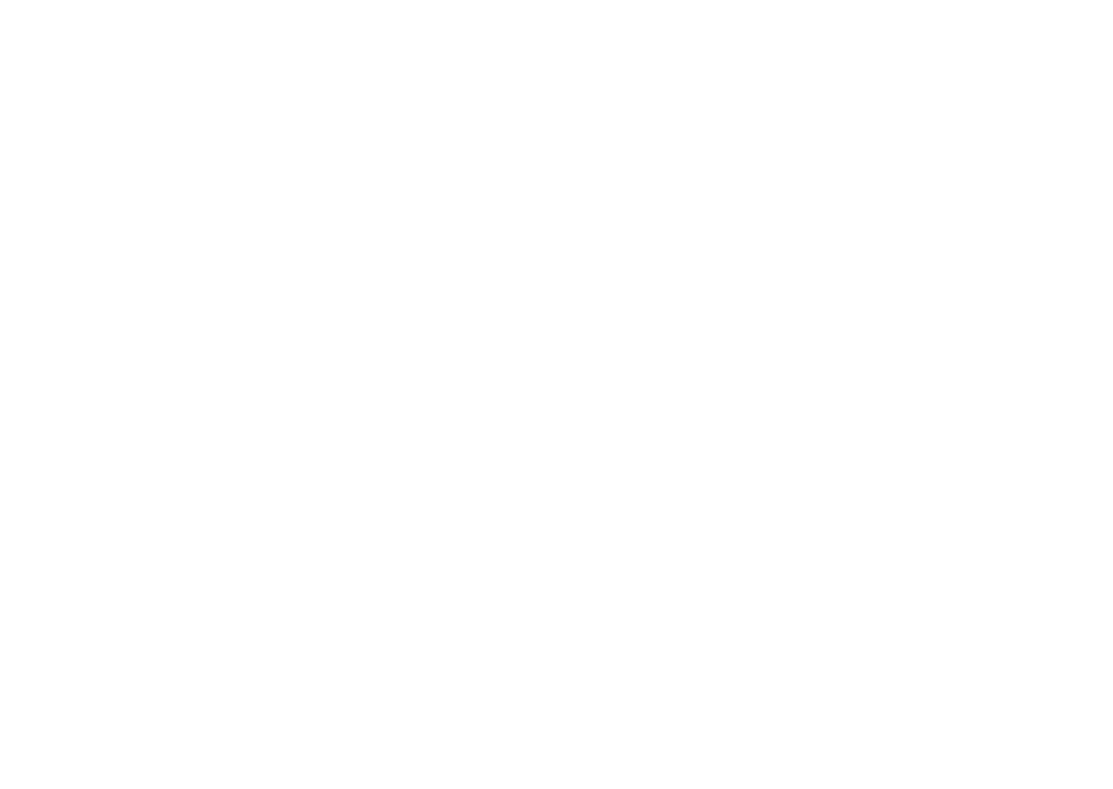 Wesley Mota
